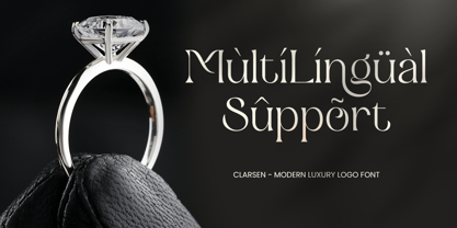 Clarsen Font Poster 14