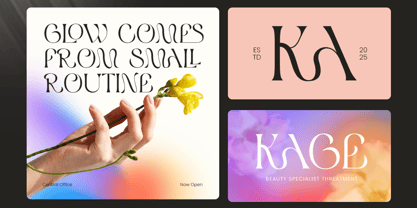 Clarsen Font Poster 3