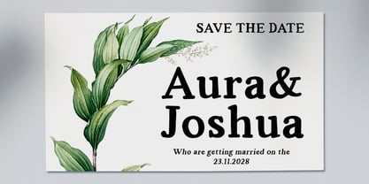 Absture Font Poster 4