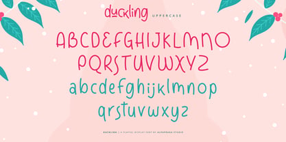 Duckling Font Poster 8