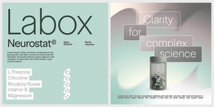 Signat Font Poster 8