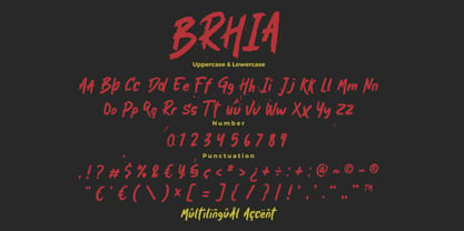 Brhia Font Poster 8