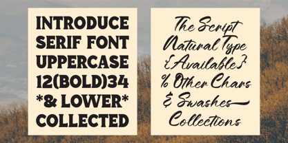 Regal Drownfall Font Poster 4