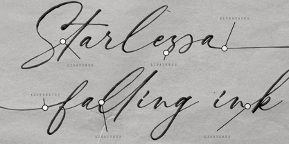 Nocturnal Blossom Font Poster 6