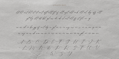 Nocturnal Blossom Font Poster 14