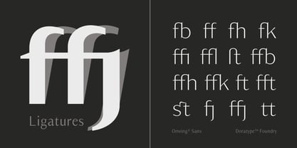 Owning Sans Font Poster 8