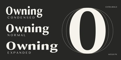 Owning Sans Font Poster 4