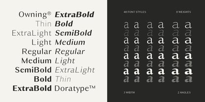 Owning Sans Font Poster 2