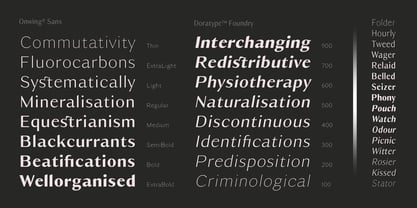 Owning Sans Font Poster 9