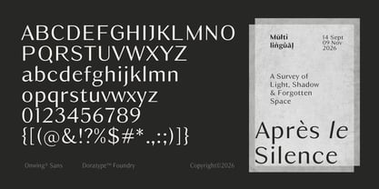Owning Sans Font Poster 10