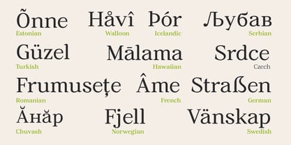Ancestri Font Poster 13