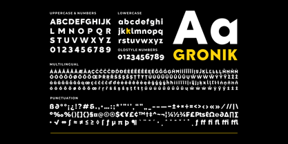 Gronik Font Poster 9