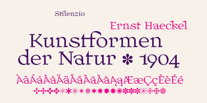 Stilenzio Roman Font Poster 6