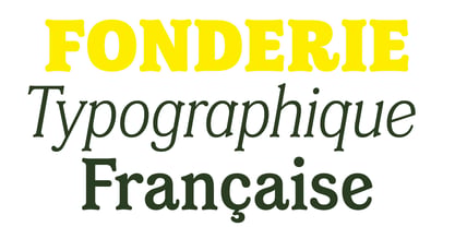 Amsterdam Serif Font Poster 4