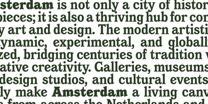 Amsterdam Serif Font Poster 7