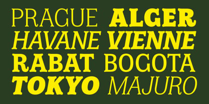 Amsterdam Serif Font Poster 6