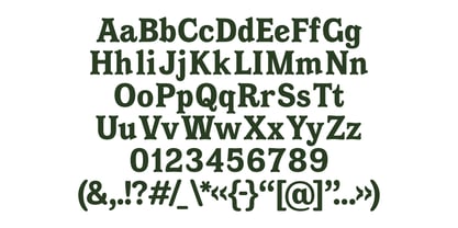 Amsterdam Serif Font Poster 9