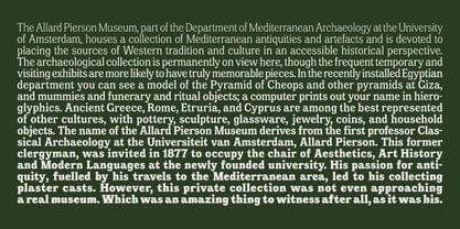 Amsterdam Serif Font Poster 3