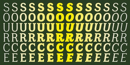 Amsterdam Serif Font Poster 8