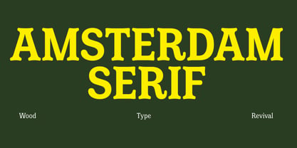Amsterdam Serif Font Poster 1