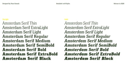 Amsterdam Serif Font Poster 2