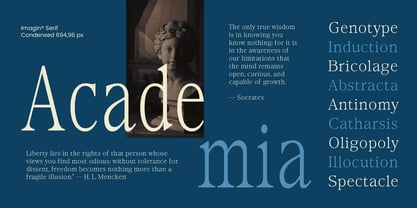 Imagin Font Poster 3