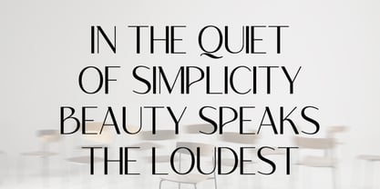 Velafine Font Poster 4