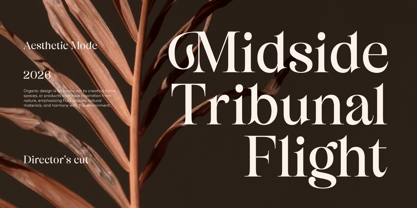 Bisquine Font Poster 2