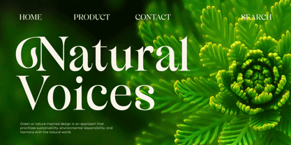 Bisquine Font Poster 6