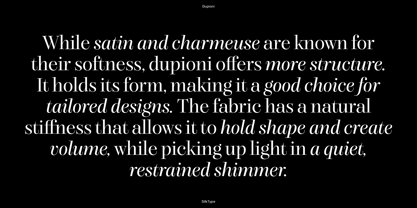 Dupioni Font Poster 8