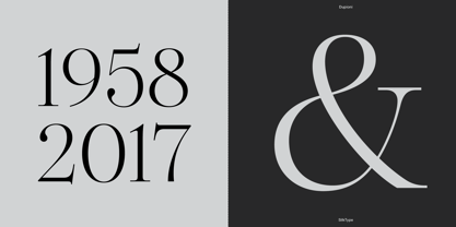 Dupioni Font Poster 12
