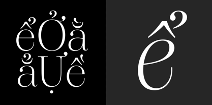 Dupioni Font Poster 13