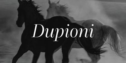 Dupioni Font Poster 1