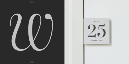Dupioni Font Poster 10