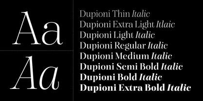 Dupioni Font Poster 2