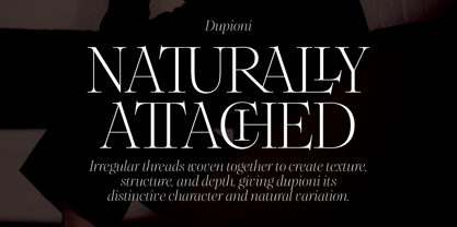 Dupioni Font Poster 14