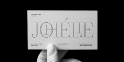 Dupioni Font Poster 7