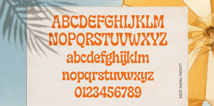 Laguna Tropic Font Poster 12