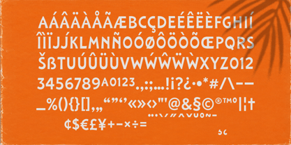 Laguna Tropic Font Poster 13