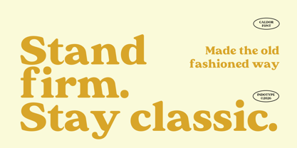 IT Caldor Font Poster 2
