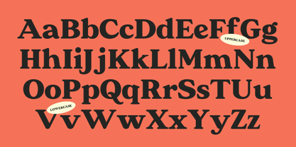 IT Caldor Font Poster 3
