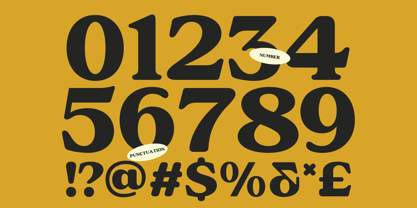 IT Caldor Font Poster 5