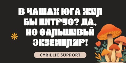Girthy Display Font Poster 7