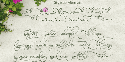 Ravishing Solidago Font Poster 3