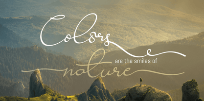 Ravishing Solidago Font Poster 5