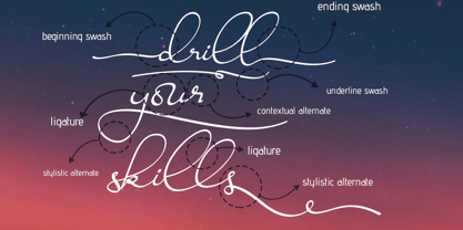 Ravishing Solidago Font Poster 2