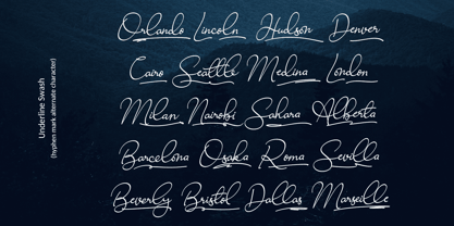 Ravishing Solidago Font Poster 4
