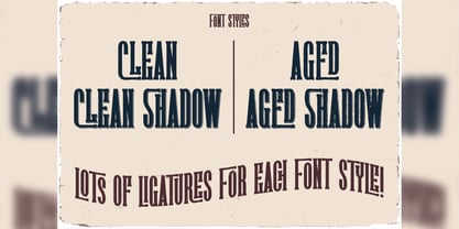Cholla Springs Font Poster 5