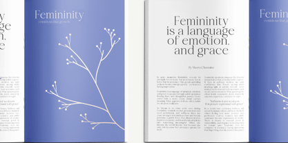Swandale Font Poster 7