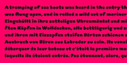 Arbuckle Font Poster 6